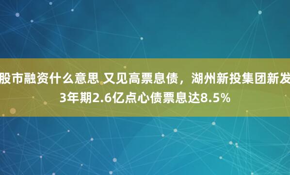 股市融资什么意思 又见高票息债，湖州新投集团新发3年期2.6亿点心债票息达8.5%