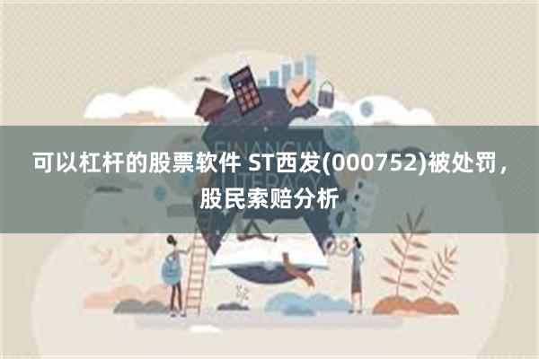 可以杠杆的股票软件 ST西发(000752)被处罚，股民索赔分析