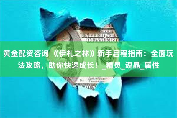 黄金配资咨询 《伊札之林》新手启程指南：全面玩法攻略，助你快速成长！_精灵_魂晶_属性