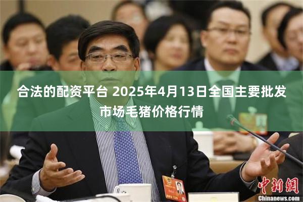 合法的配资平台 2025年4月13日全国主要批发市场毛猪价格行情