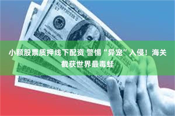 小额股票质押线下配资 警惕“异宠”入侵！海关截获世界最毒蛙