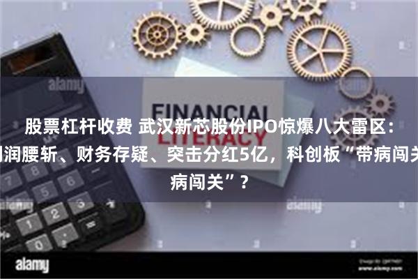 股票杠杆收费 武汉新芯股份IPO惊爆八大雷区：净利润腰斩、财务存疑、突击分红5亿，科创板“带病闯关”？