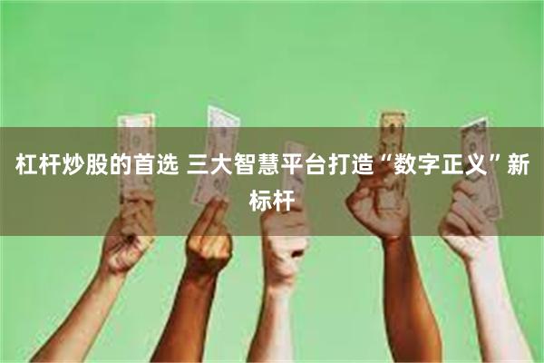 杠杆炒股的首选 三大智慧平台打造“数字正义”新标杆