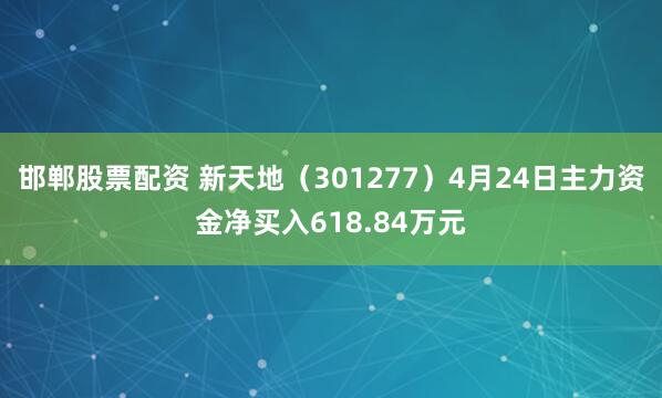 邯郸股票配资 新天地（301277）4月24日主力资金净买入618.84万元