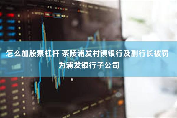 怎么加股票杠杆 茶陵浦发村镇银行及副行长被罚 为浦发银行子公司