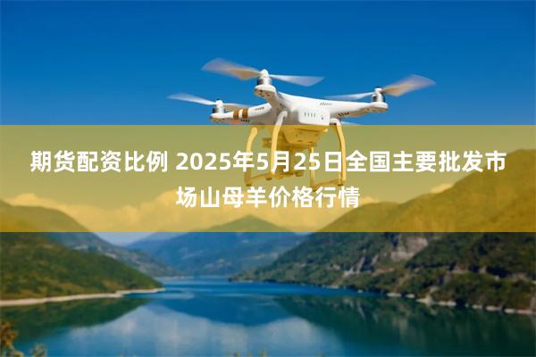 期货配资比例 2025年5月25日全国主要批发市场山母羊价格行情