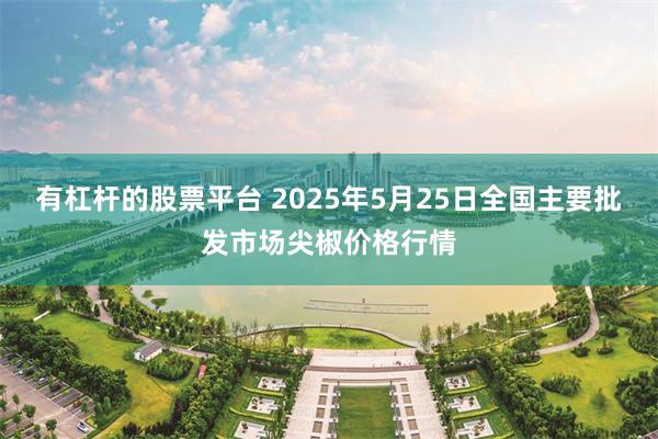 有杠杆的股票平台 2025年5月25日全国主要批发市场尖椒价格行情