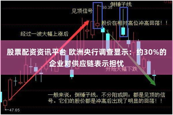 股票配资资讯平台 欧洲央行调查显示：约30%的企业对供应链表示担忧
