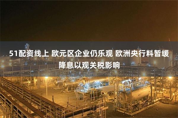 51配资线上 欧元区企业仍乐观 欧洲央行料暂缓降息以观关税影响