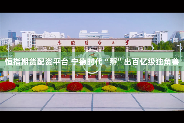 恒指期货配资平台 宁德时代“孵”出百亿级独角兽