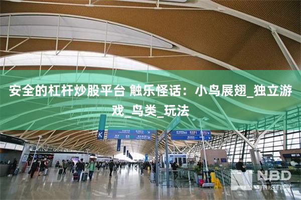 安全的杠杆炒股平台 触乐怪话：小鸟展翅_独立游戏_鸟类_玩法