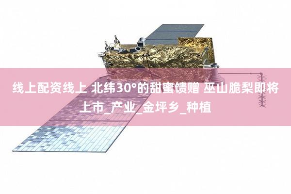 线上配资线上 北纬30°的甜蜜馈赠 巫山脆梨即将上市_产业_金坪乡_种植