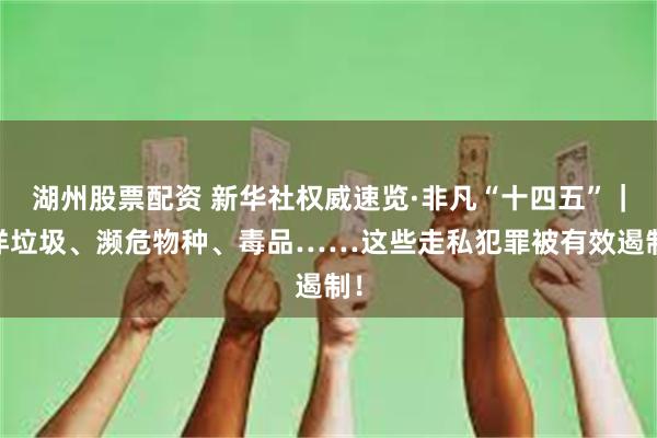 湖州股票配资 新华社权威速览·非凡“十四五”｜ 洋垃圾、濒危物种、毒品……这些走私犯罪被有效遏制！