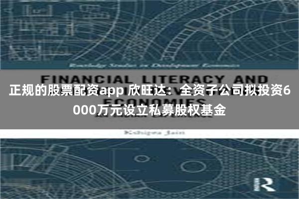正规的股票配资app 欣旺达:全资子公司拟投资6000万元设立私募股权基金