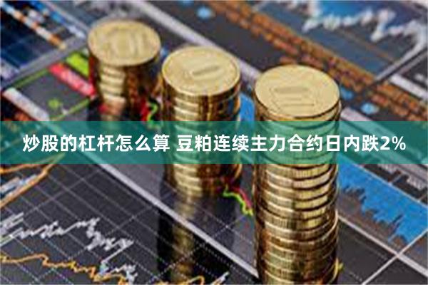 炒股的杠杆怎么算 豆粕连续主力合约日内跌2%